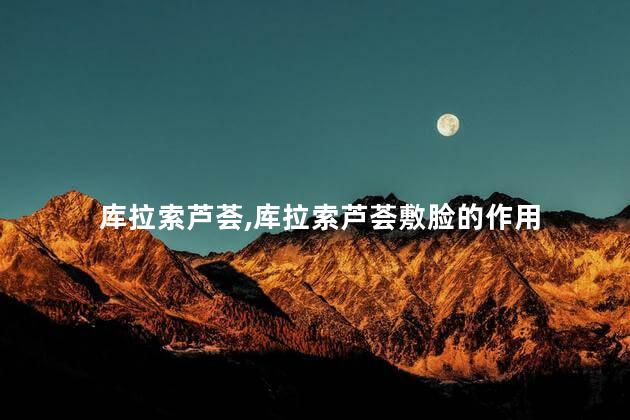 库拉索芦荟,库拉索芦荟敷脸的作用