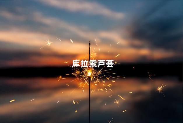 库拉索芦荟,库拉索芦荟敷脸的作用