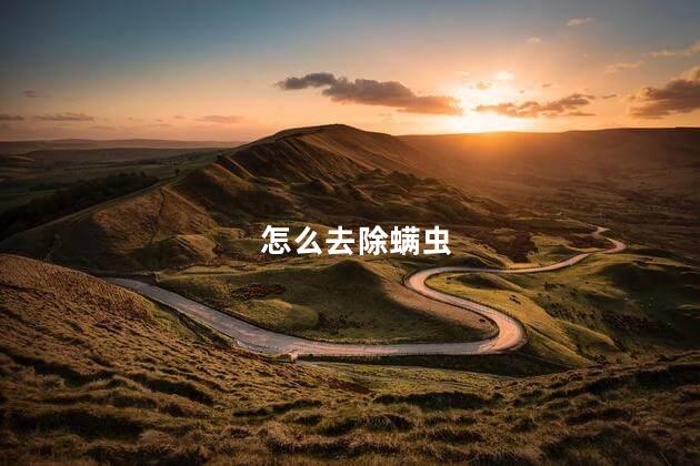 怎么去除螨虫，除螨虫的方法