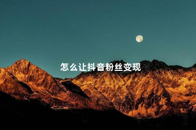 怎么让抖音粉丝变现 如何让抖音粉丝变现的