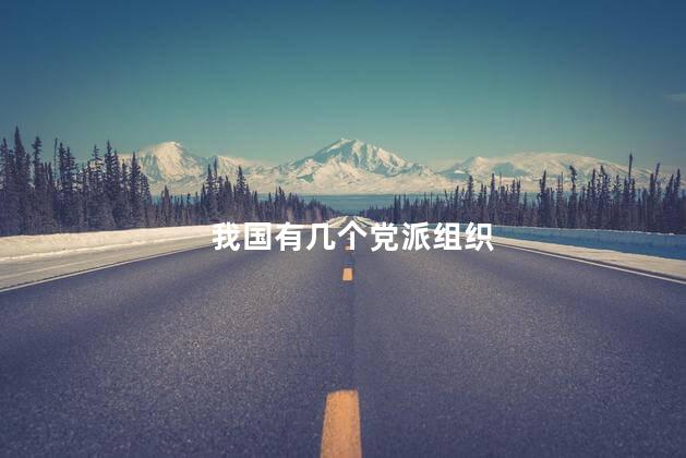 我国有几个党派组织，我国有多少个党派组织