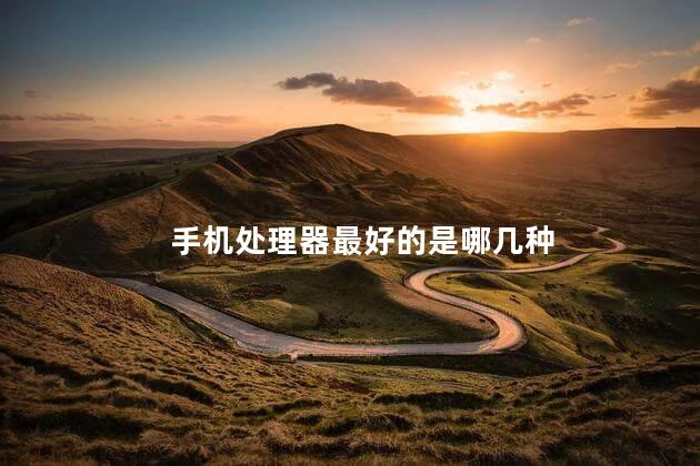 手机处理器最好的是哪几种，现在哪种处理器比较好