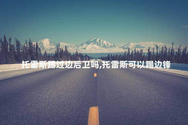 托雷斯踢过边后卫吗,托雷斯可以踢边锋吗