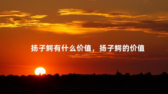扬子鳄有什么价值，扬子鳄的价值