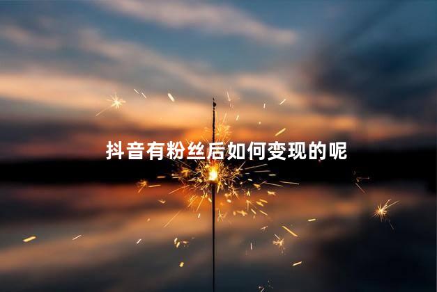 抖音有粉丝后如何变现的呢 什么叫粉丝多了可以变现