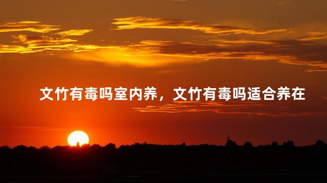 文竹有毒吗室内养，文竹有毒吗适合养在室内吗