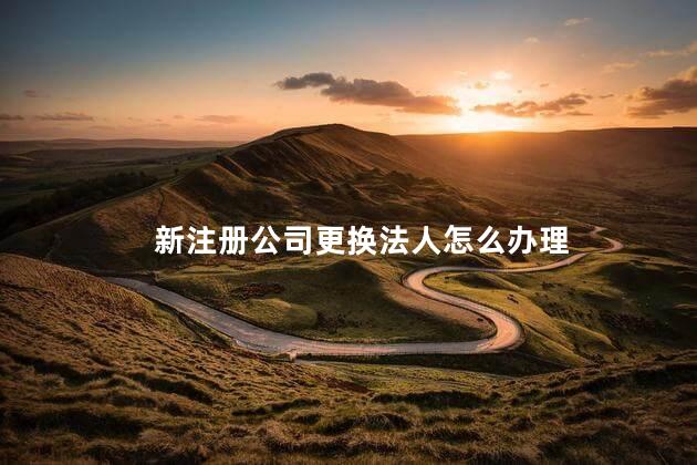 新注册公司更换法人怎么办理 新注册公司更换法人
