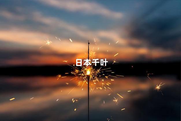 日本千叶,千叶离东京有多远