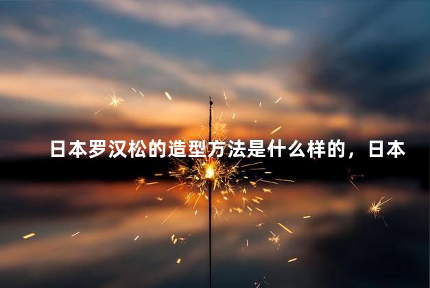 日本罗汉松的造型方法是什么样的，日本罗汉松的造型方法是怎样的