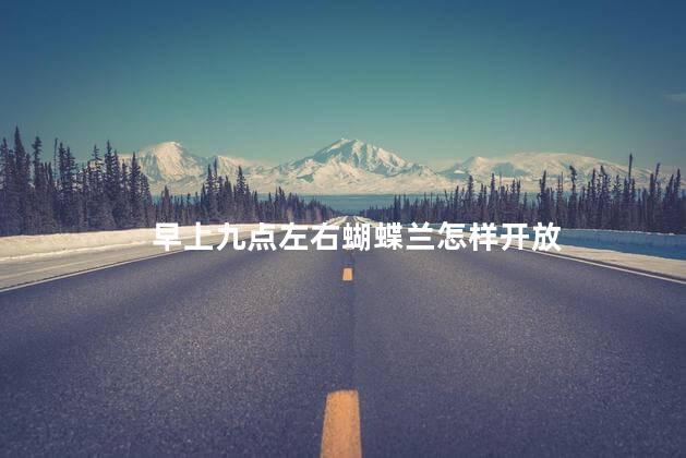 早上九点左右蝴蝶兰怎样开放，上午九点的蝴蝶兰是什么样子