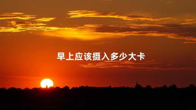 早上应该摄入多少大卡，早上摄入多少大卡合适