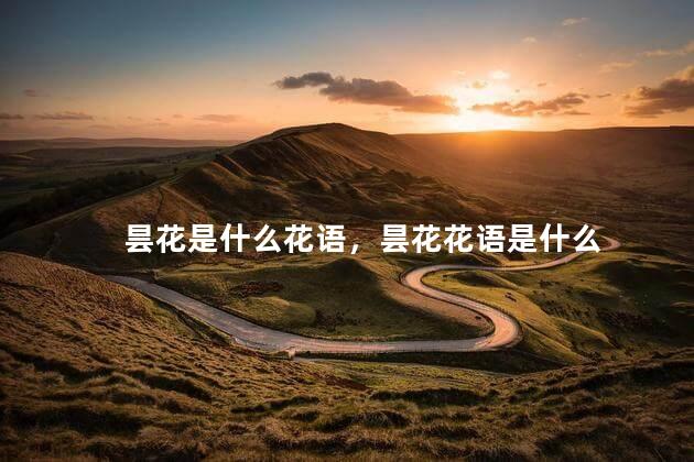 昙花是什么花语，昙花花语是什么
