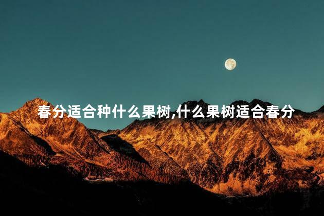 春分适合种什么果树,什么果树适合春分种