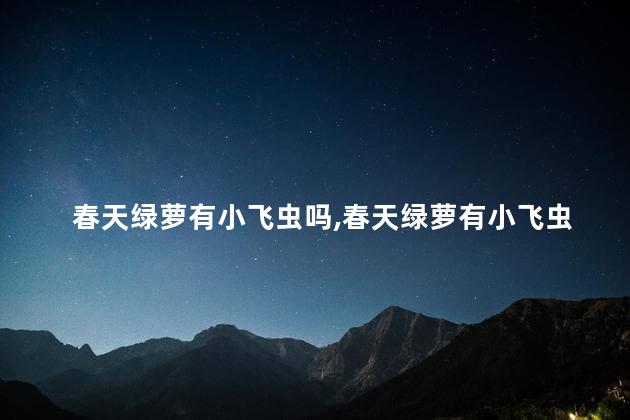 春天绿萝有小飞虫吗,春天绿萝有小飞虫怎么处理
