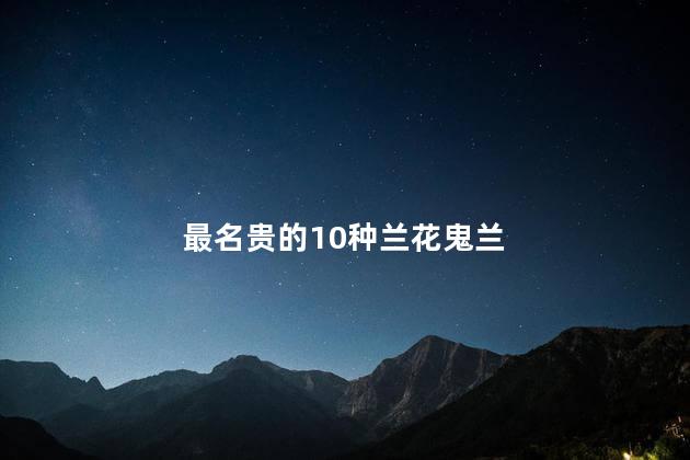 最名贵的10种兰花鬼兰,最名贵的10种兰花鬼兰品种
