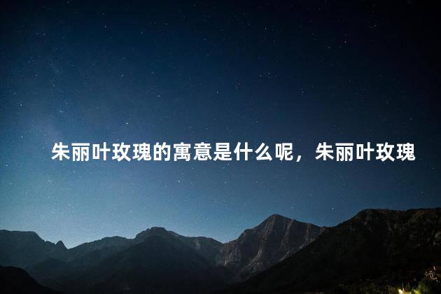 朱丽叶玫瑰的寓意是什么呢，朱丽叶玫瑰有什么寓意