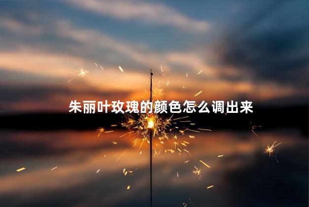 朱丽叶玫瑰的颜色怎么调出来，朱丽叶玫瑰的颜色怎么调出来好看