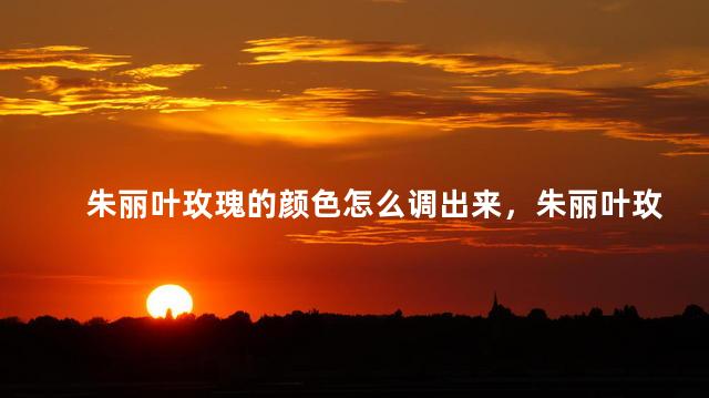 朱丽叶玫瑰的颜色怎么调出来，朱丽叶玫瑰的颜色怎么调出来好看