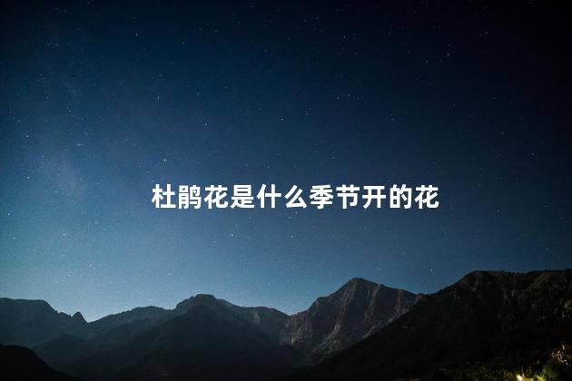 杜鹃花是什么季节开的花，杜鹃花是什么季节开的