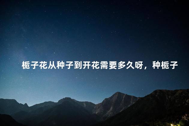 栀子花从种子到开花需要多久呀，种栀子花要多久才开花