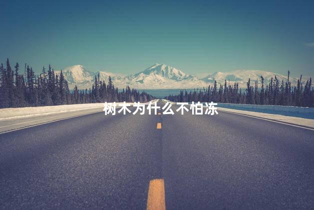 树木为什么不怕冻，树木冬天为什么不会冻死
