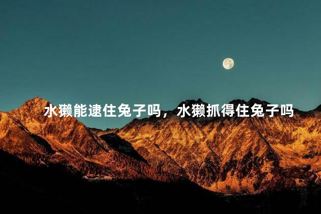 水獭能逮住兔子吗，水獭抓得住兔子吗