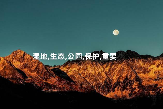 湿地是什么意思呢 生态湿地是什么意思