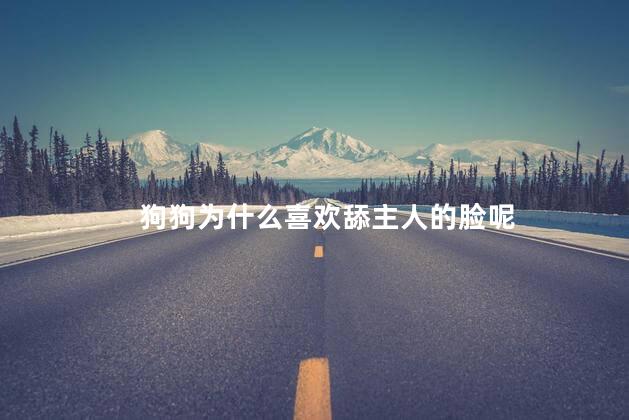狗狗为什么喜欢舔主人的脸呢，小狗舔主人的脸是什么意思