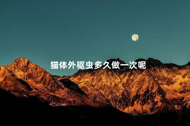猫体外驱虫多久做一次呢，猫咪多长时间一次体外驱虫