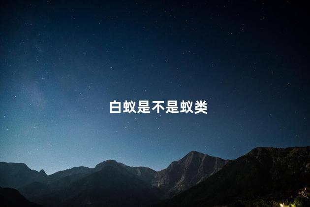 白蚁是不是蚁类，白蚁是不是蚁类的一种