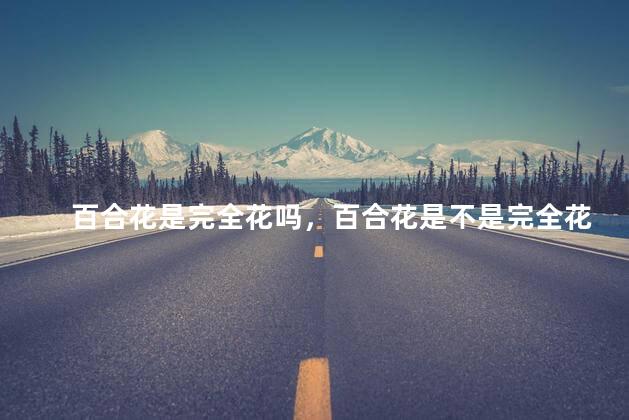 百合花是完全花吗，百合花是不是完全花