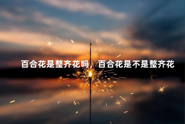 百合花是整齐花吗，百合花是不是整齐花