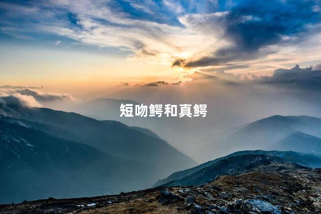 短吻鳄和真鳄,短吻鳄和真鳄区别