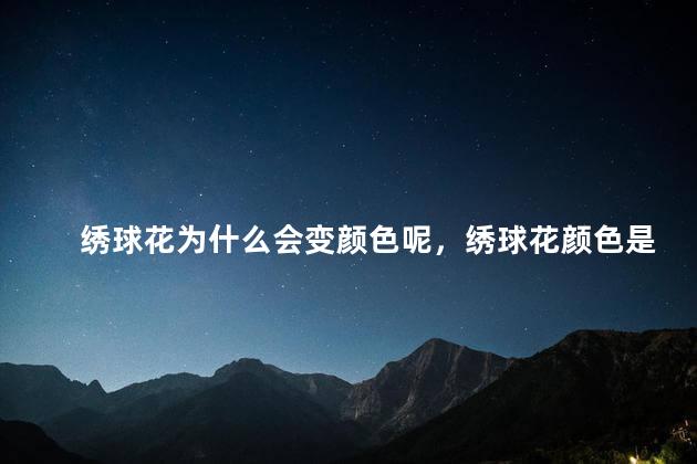 绣球花为什么会变颜色呢，绣球花颜色是调出来的还是自然的