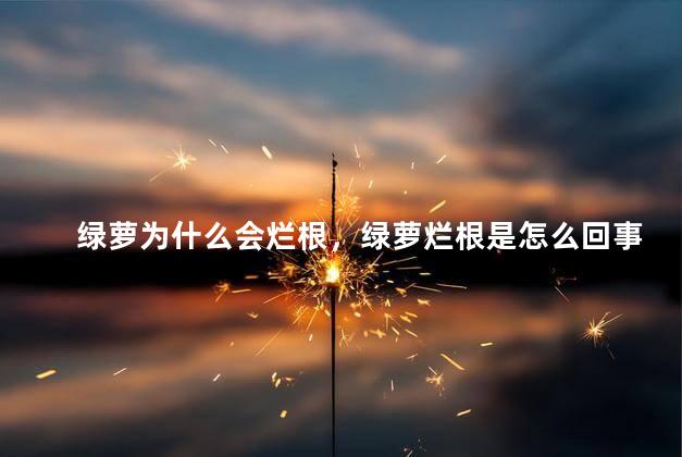 绿萝为什么会烂根，绿萝烂根是怎么回事