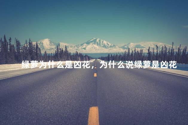 绿萝为什么是凶花，为什么说绿萝是凶花