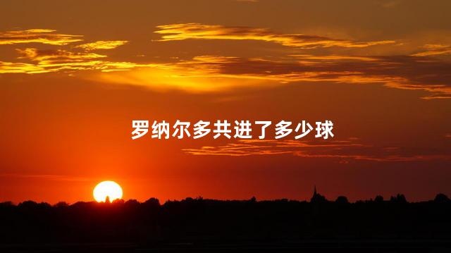 罗纳尔多共进了多少球,罗纳尔多2002世界杯进球