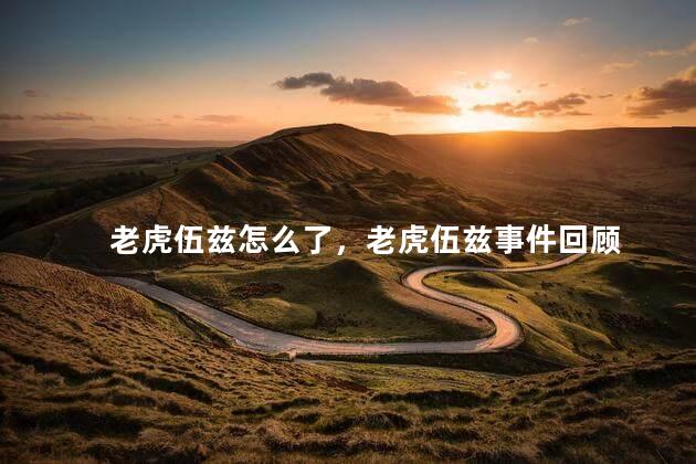 老虎伍兹怎么了，老虎伍兹事件回顾