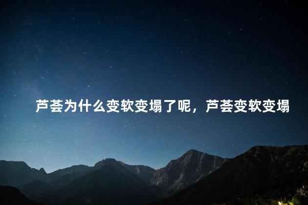 芦荟为什么变软变塌了呢，芦荟变软变塌了怎么回事