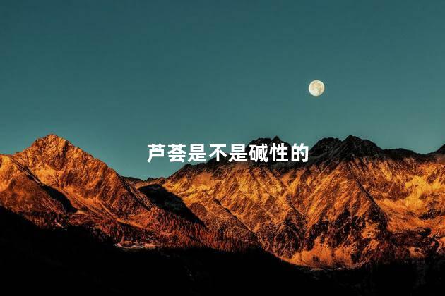 芦荟是不是碱性的，蜂蜜是碱性还是酸性