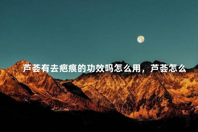 芦荟有去疤痕的功效吗怎么用，芦荟怎么用可以去疤痕吗