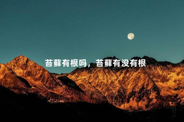 苔藓有根吗，苔藓有没有根