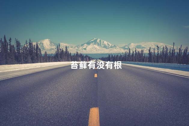 苔藓有没有根，苔藓有根吗