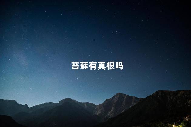 苔藓有真根吗，苔藓有没有真根