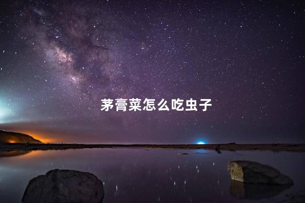 茅膏菜怎么吃虫子，茅膏菜如何吸引虫子