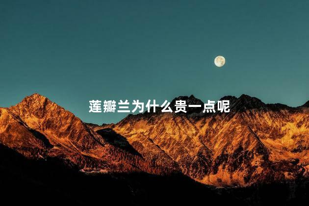 莲瓣兰为什么贵一点呢，莲瓣兰为什么那么贵