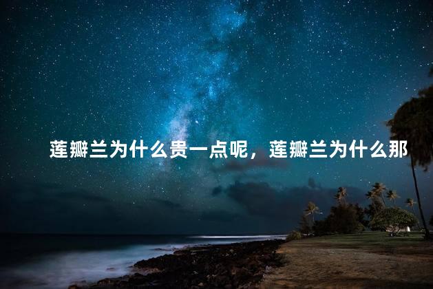 莲瓣兰为什么贵一点呢，莲瓣兰为什么那么贵