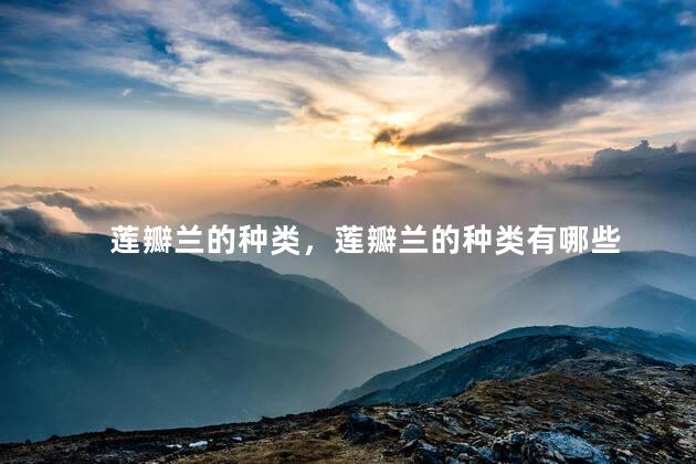 莲瓣兰的种类，莲瓣兰的种类有哪些