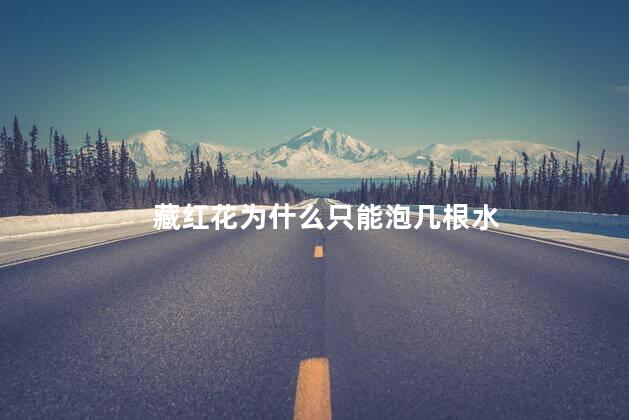 藏红花为什么只能泡几根水，藏红花为什么一次才泡几根