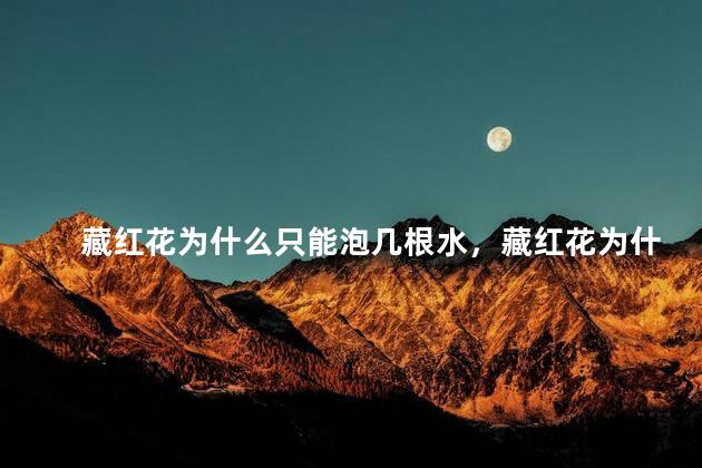 藏红花为什么只能泡几根水，藏红花为什么一次才泡几根